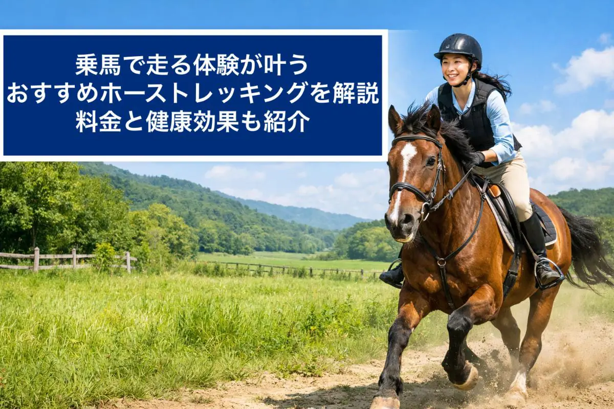 乗馬で走る体験が叶うおすすめホーストレッキングを解説｜料金と健康 