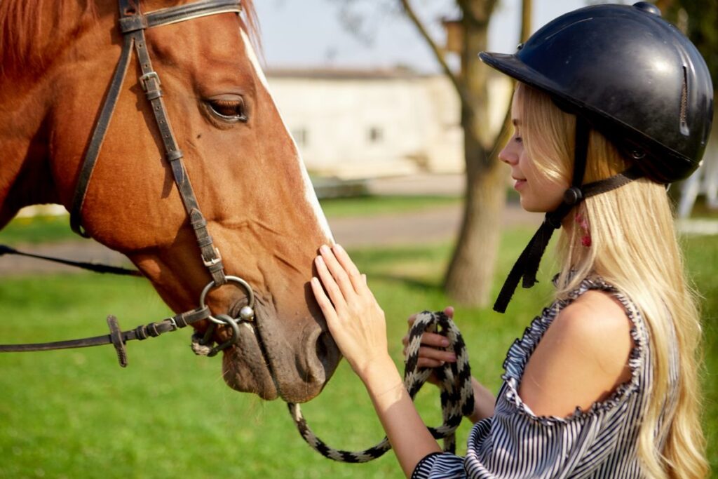 乗馬はじめる方へ10点セットオマケつき 乗馬はじめる方へ10点セットオマケつき