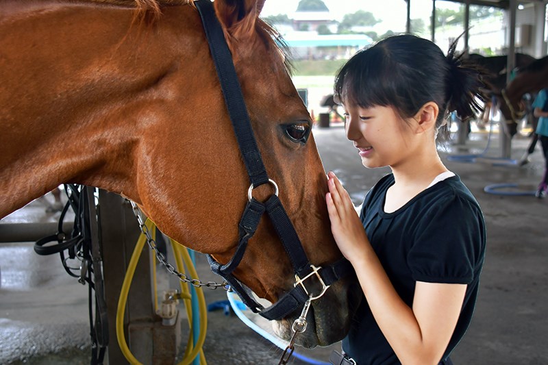 1day体験乗馬