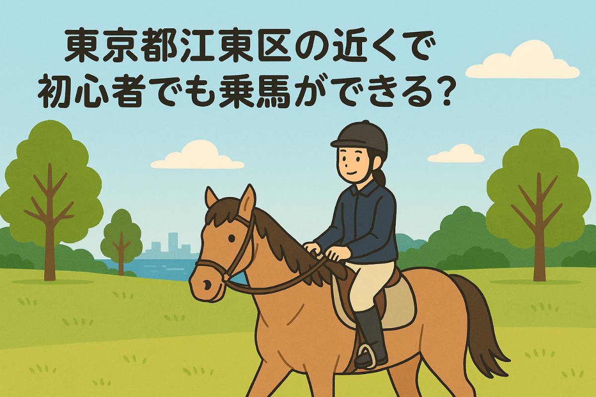 東京都江東区の近くで初心者でも乗馬ができる？乗馬体験の為の基礎知識 