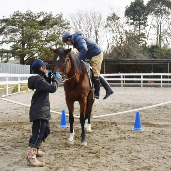 乗馬の基本 上下馬の仕方 千葉の 馬の国 乗馬クラブ オリンピック