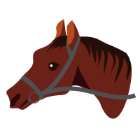 乗馬レッスン用語や馬体名称 毛色を知ろう 乗馬クラブ オリンピッククラブ 乗馬レッスン用語や馬体名称 毛色を知ろう 乗馬クラブ オリンピッククラブ