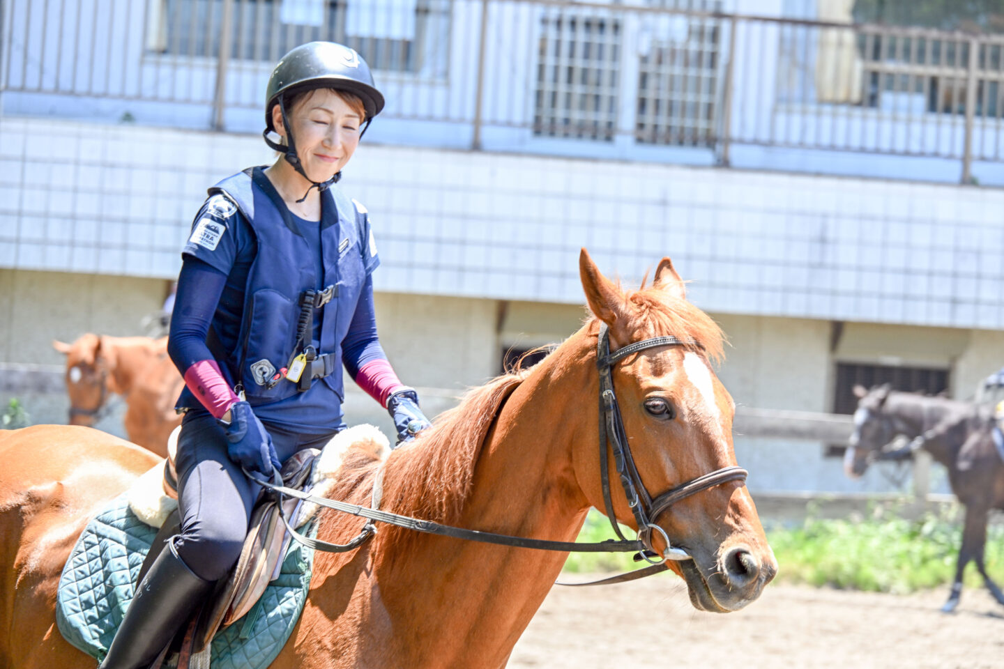 馬がすき