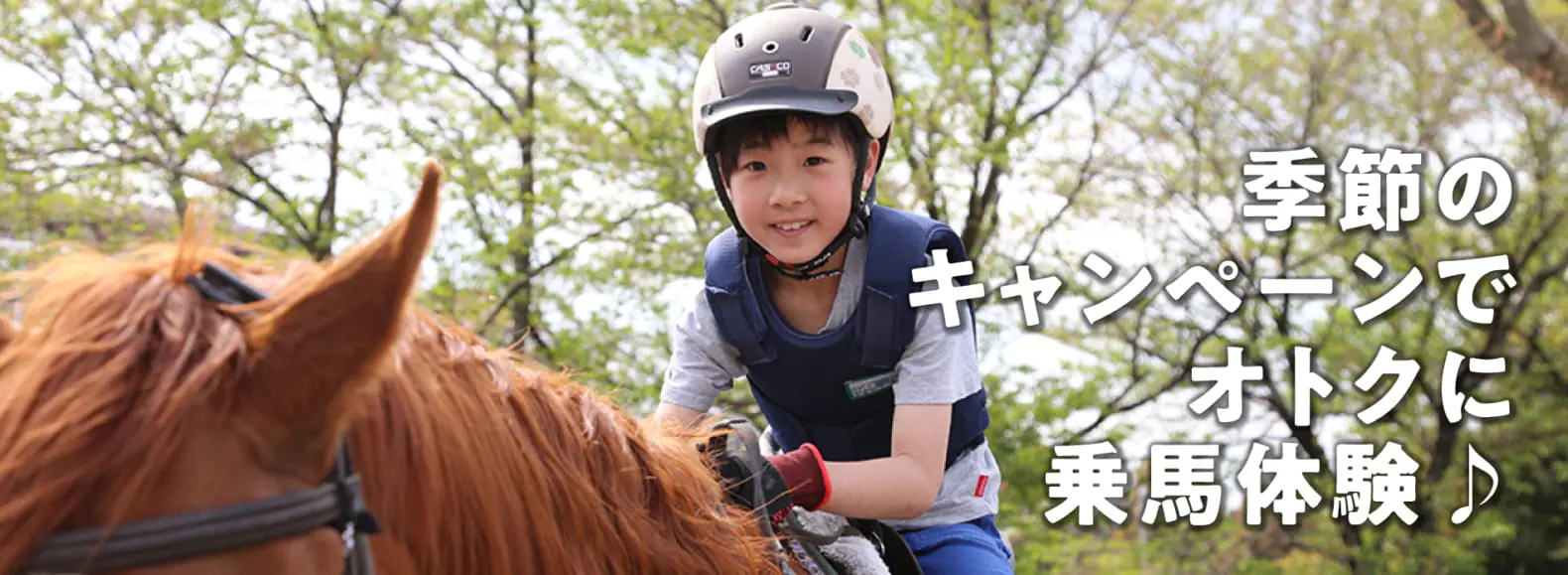 季節のキャンペーンでオトクに乗馬体験