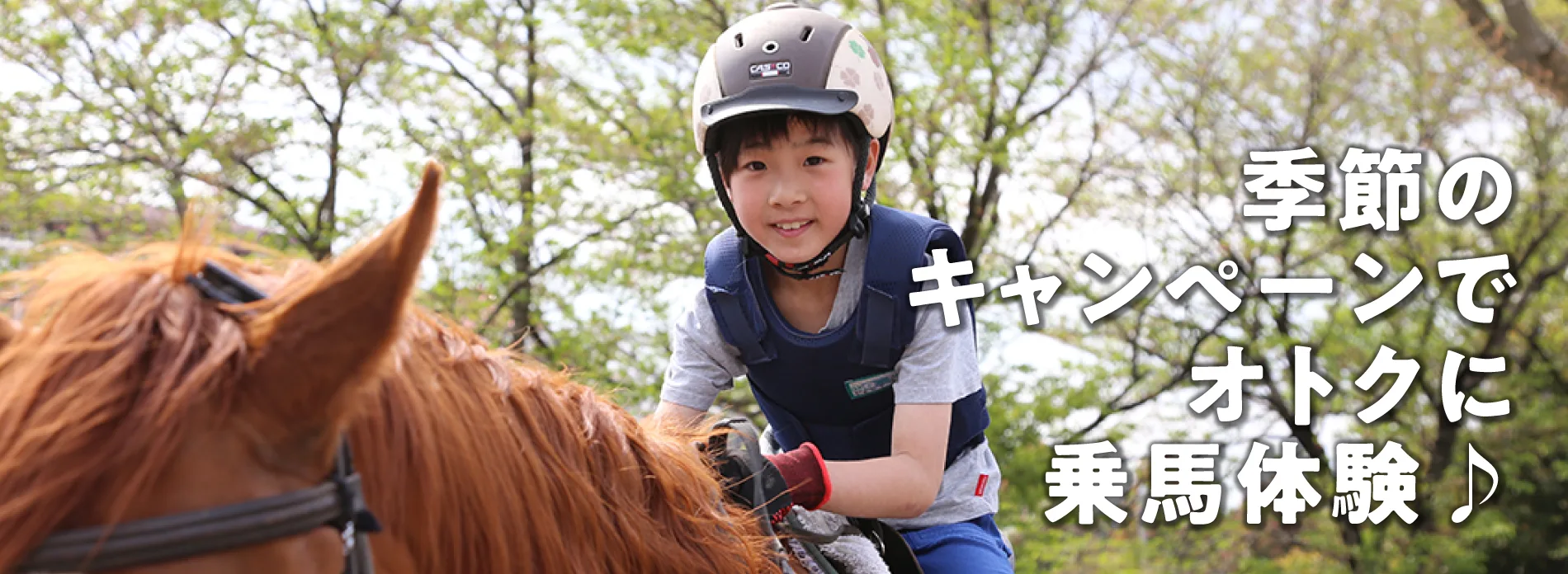 即納！最大半額！】 子ども 乗馬用 ヘルメット - 防具 - hlt.no
