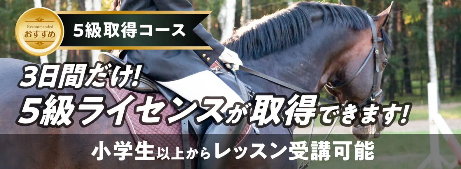 5級取得コース