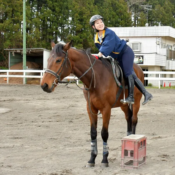 乗馬の基本・上下馬の仕方|千葉の「馬の国」乗馬クラブ・オリンピック