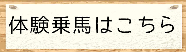 体験乗馬