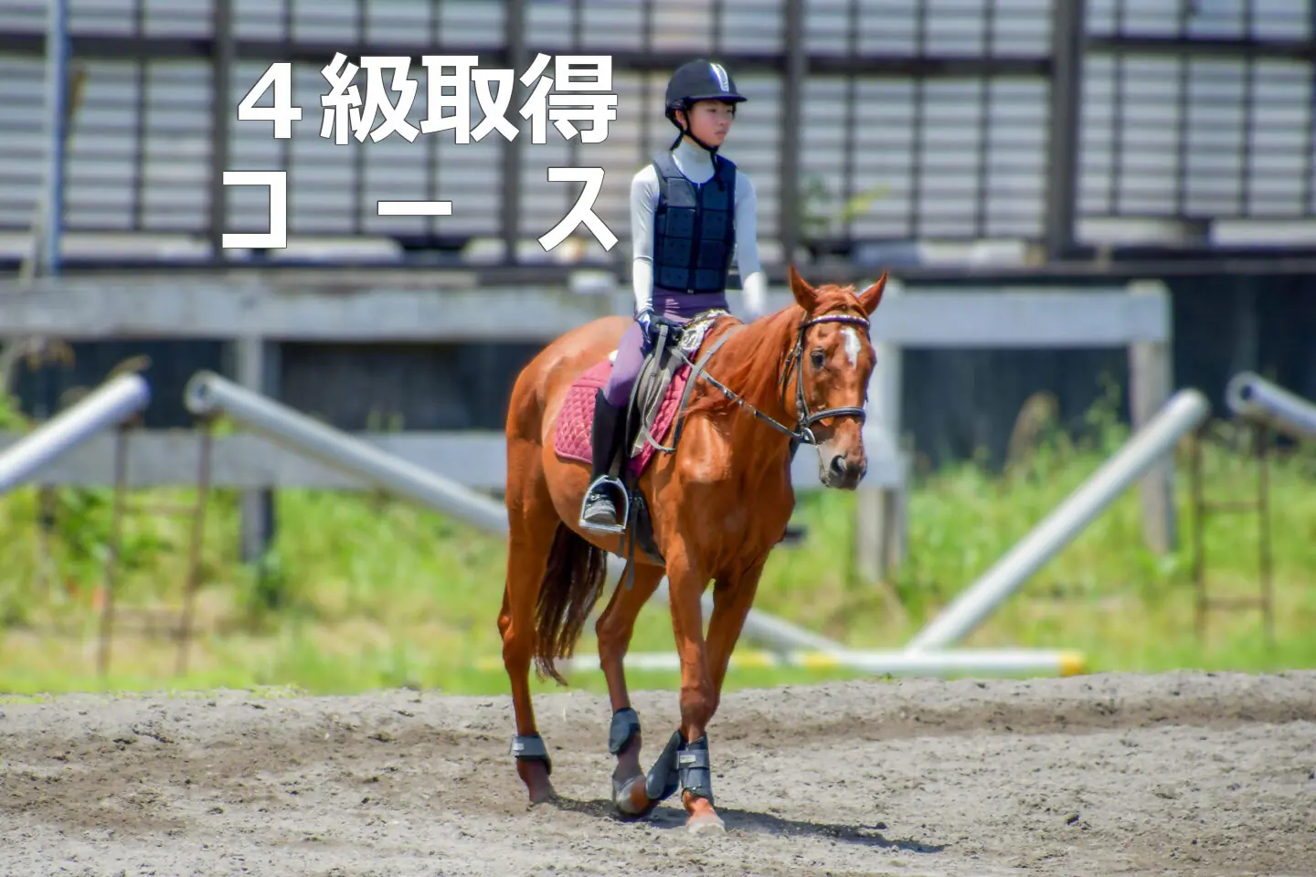 5級ライセンス取得キャンペーン